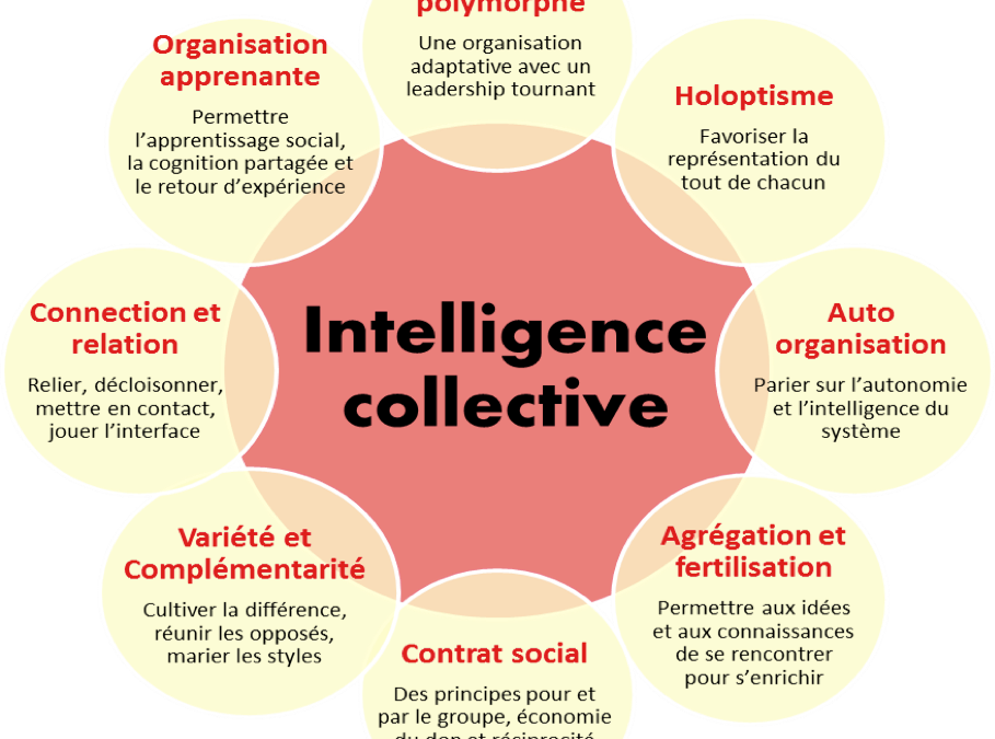 L’intelligence collective en image